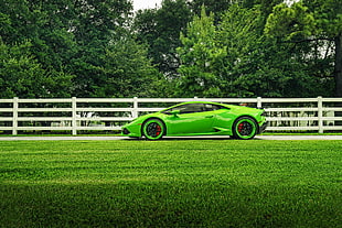 green coupe near green leaves trees during day time