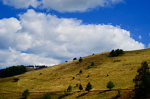 landscape photo of green hill under white cloudy sky during daytime