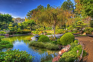 green garden surface
