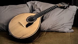 brown string instrument, Guitarra portuguesa, guitar, musical instrument HD wallpaper