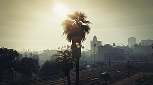 palm tree, Grand Theft Auto V, video games
