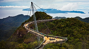 aerial photography of concrete bridge with trees and mountain