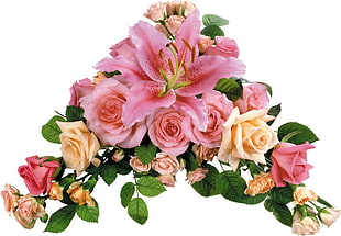 pink and white roses with pink lily flower arrangement