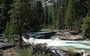 strong current river HD wallpaper
