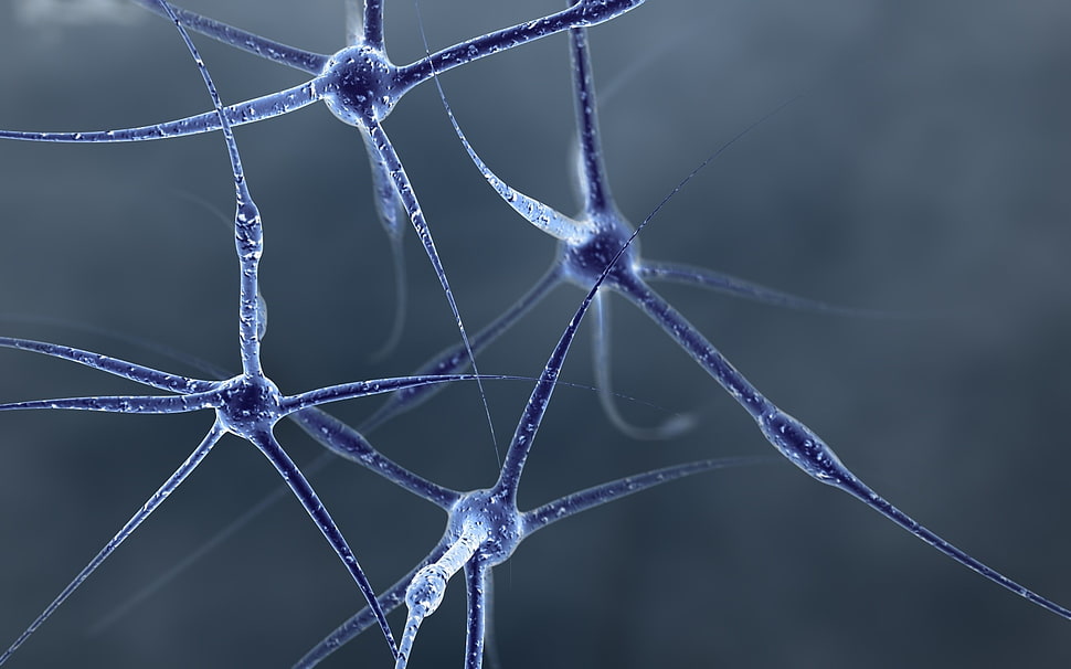 blue genetic illustration HD wallpaper