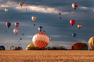 assorted hot air balloons at daytime