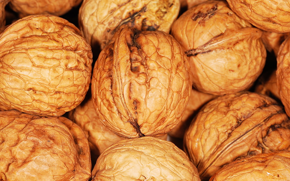 brown nut lot HD wallpaper
