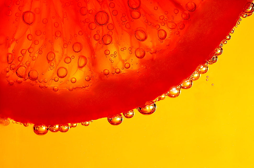 red and silver beaded necklace, macro, fruit, orange HD wallpaper