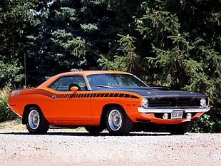 classic orange and black Dodge Challenger coupe parked on dirt road near tree during daytime