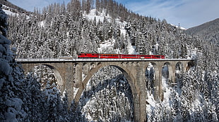 red train and brown concrete bridge, mountains, snow, train, red HD wallpaper