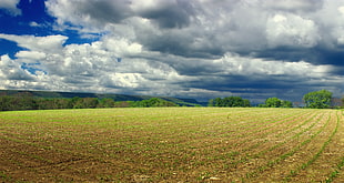 farm field during cloudy day HD wallpaper