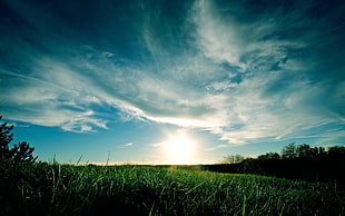 landscape low angle photography on sun rise under cloudy sky near grass field