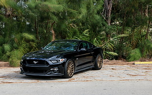 black Ford Mustang coupe, Ford, car, Ford Mustang HD wallpaper