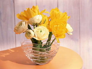 yellow flowers in clear glass vase HD wallpaper