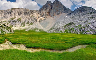 gray mountain and green grass field HD wallpaper