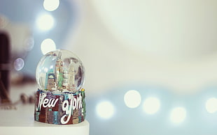 selected photography of New York water globe