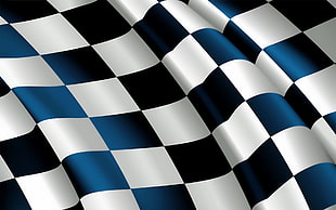 white and blue checkered textile