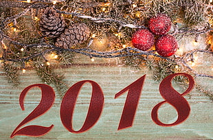 pine cone decors with 2018 text overlay