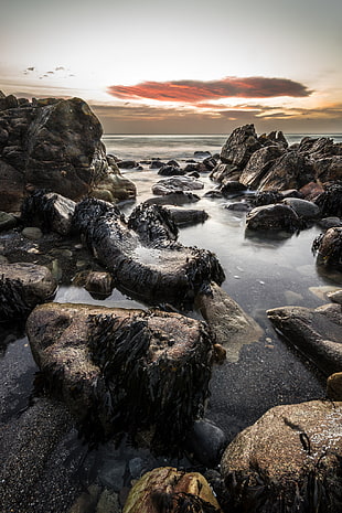 seashore filled with rocks, white rock, dalkey, ireland HD wallpaper