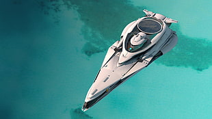 white and gray spacecraft, Star Citizen, video games