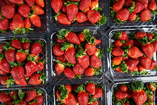red strawberry fruits, Strawberries, Berries, Ripe