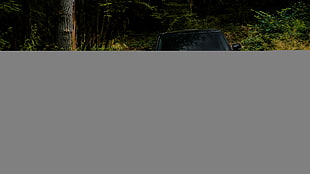 white Land Rover Range Rover Sport running on high level water creek HD wallpaper