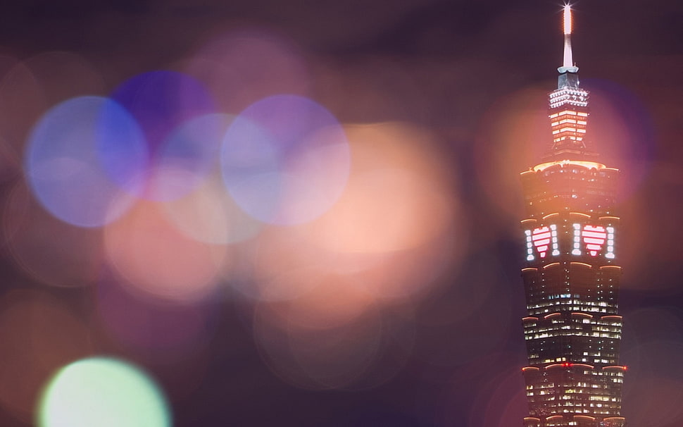 bokeh effect photography HD wallpaper