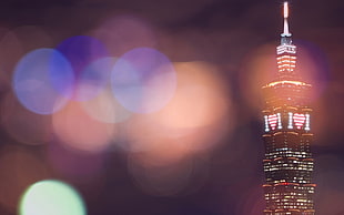bokeh effect photography HD wallpaper
