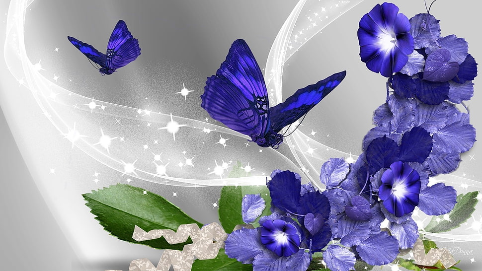 two purple butterfly with purple petaled flowers illustration HD wallpaper