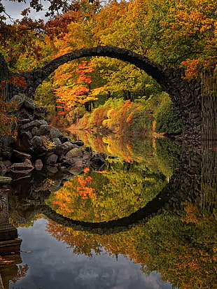 gray stone bridge, bridge, river, reflection, landscape HD wallpaper