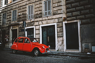 red Volkswagen Beetles selective color photography HD wallpaper