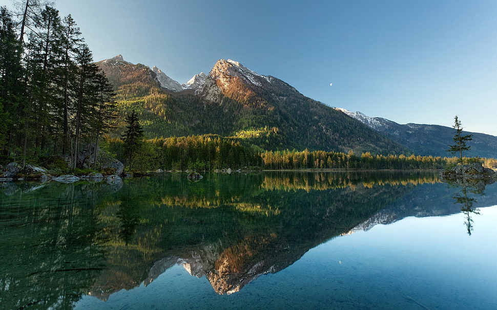 green pine trees, nature, landscape, reflection, lake HD wallpaper