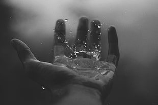 person's left palm, hands, water drops, rain, monochrome