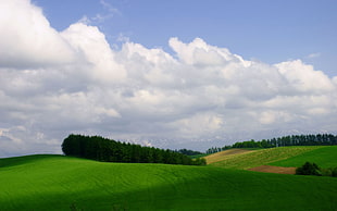 landscape photography of green field under cloudy sky