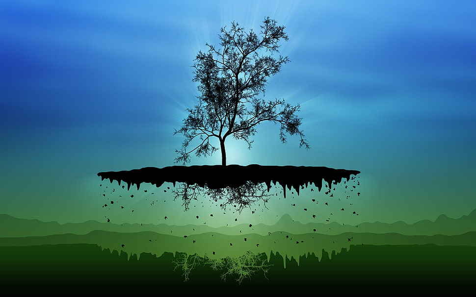 Tree of life illustration HD wallpaper