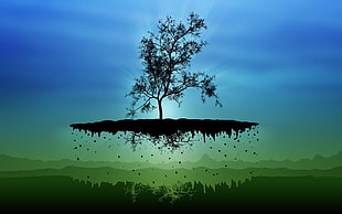 Tree of life illustration