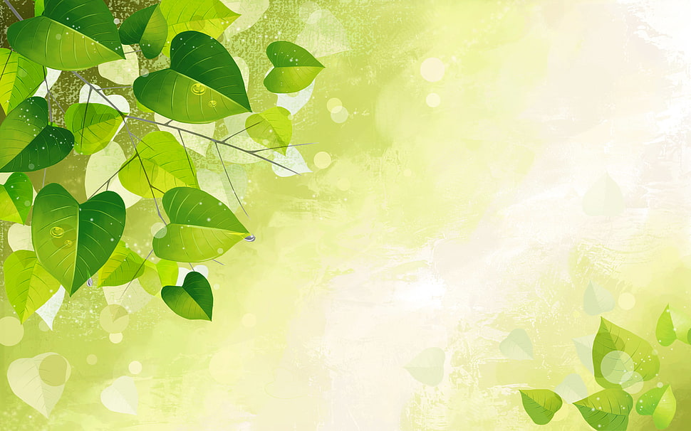 green leaves vector HD wallpaper