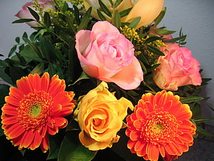 five flowers in vase