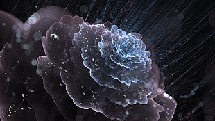 brown and blue flower painting, digital art, fractal flowers, fractal, abstract HD wallpaper