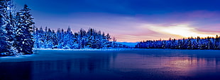 body of water surrounded by pine trees covered in snow under blue sky, irishtown HD wallpaper