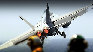 white 203 jetplane, McDonnell Douglas F/A-18 Hornet, FA-18 Hornet, F/A-18 Hornet, aircraft HD wallpaper