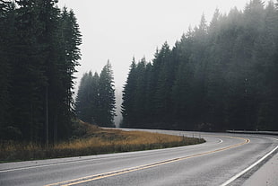 gray concrete road, road