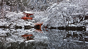 red temple, Japan, temple, snow, winter