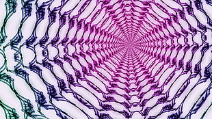 multicolored illusion artwork
