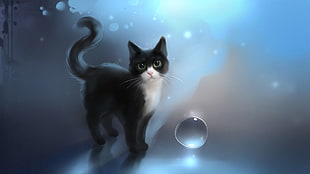 tuxedo kitten illustration