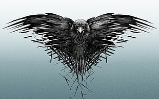 black eagle HD wallpaper