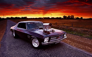 brown coupe, car, muscle cars, field, sunset