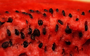 red watermelon fruit