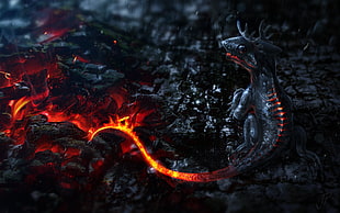 baby dragon near lava digital wallpaper