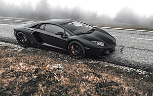 black Lamborghini Aventador coupe, car, Lamborghini